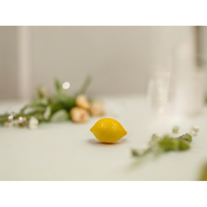 LIMONE CERAMICA CALAMITA MEDIO 5X3
